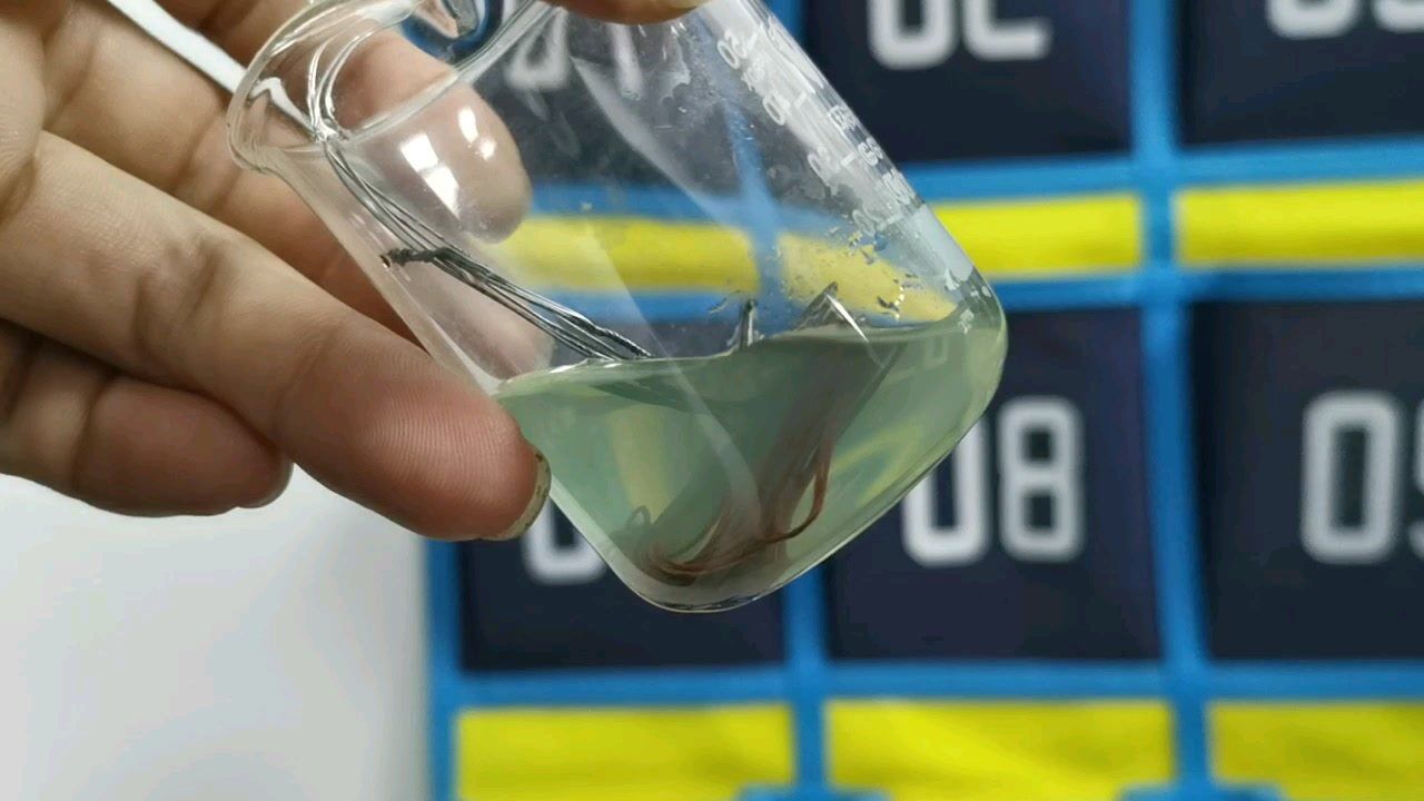 铁和硫酸铜反应现象铁岭市梦想教育