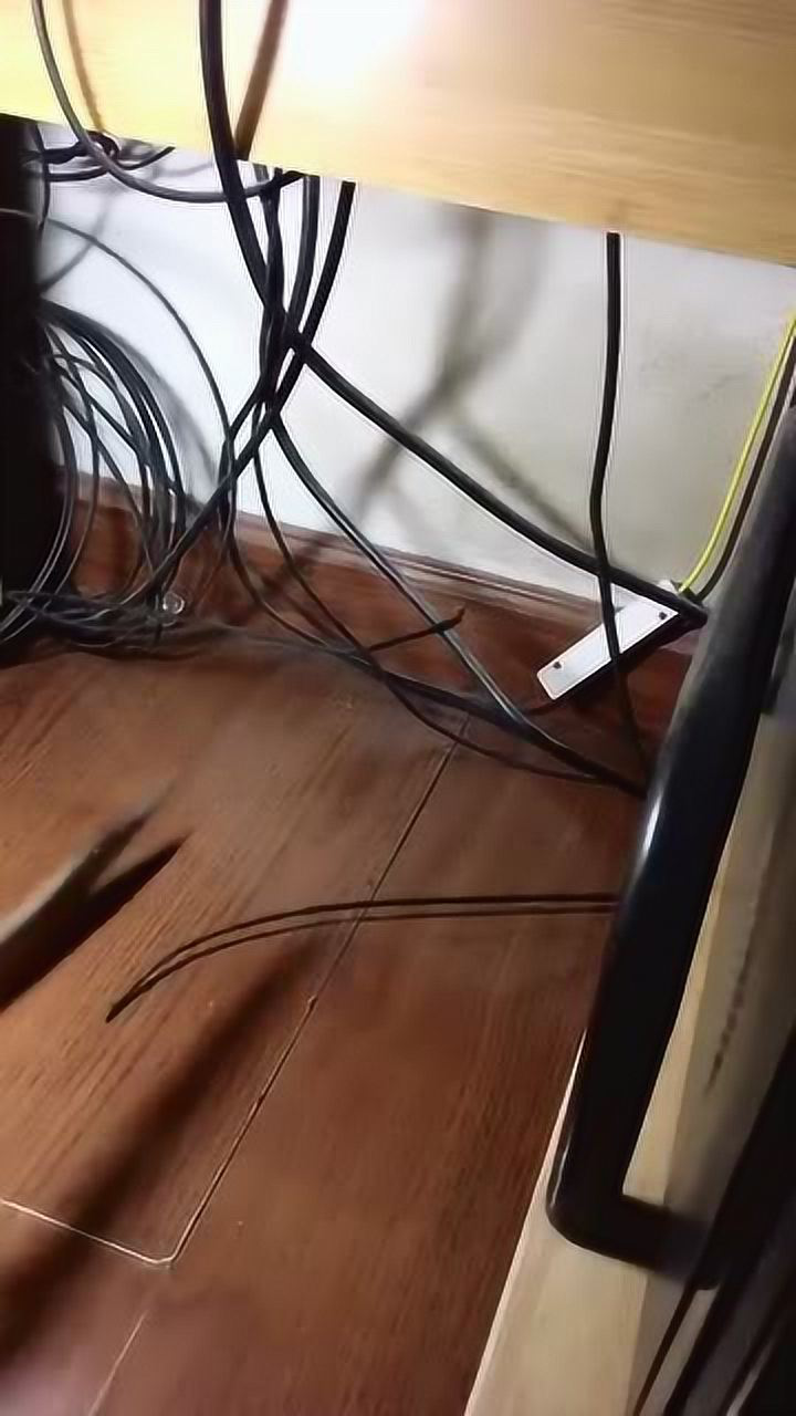 听说隔壁老王又蹭网了不知剪断网线他会飞过来找我吗