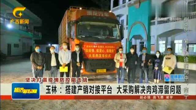 玉林搭建产销对接平台大采购解决肉鸡滞留问题