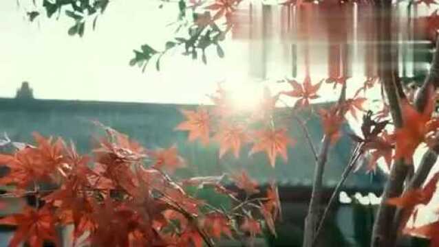 一曲《芒种》带你看新生代古装美人黄日莹甜美、卖萌、搞怪,惊艳