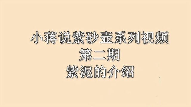 小蒋说紫砂壶科普视频第2期:紫泥的介绍