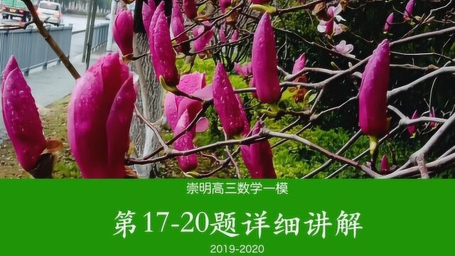 上海崇明高三数学一模(二)第1720题详细讲解20192020