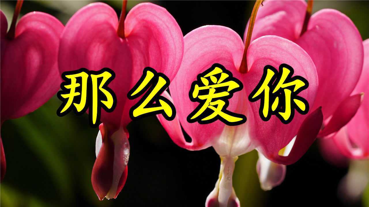 情歌mv那么爱你只想和你永远走下去让我们的爱幸福甜蜜