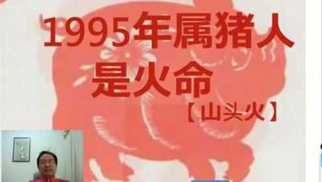 1995年属猪人是【山头火】命