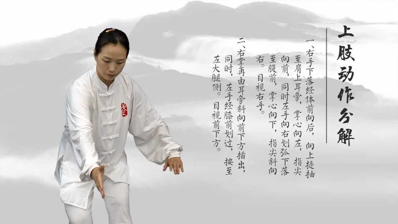 体育 太极拳 海底针