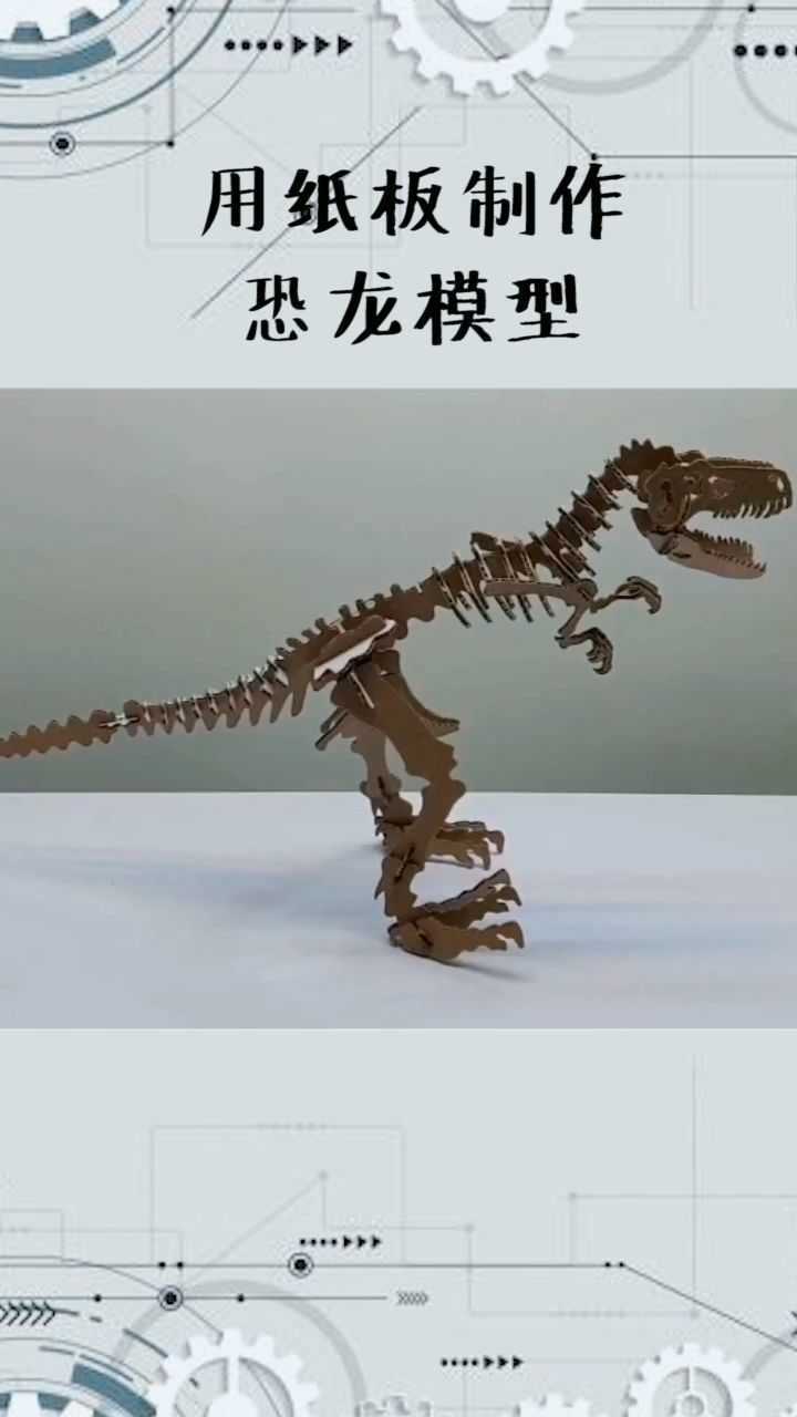 用纸板制作恐龙模型大功告成