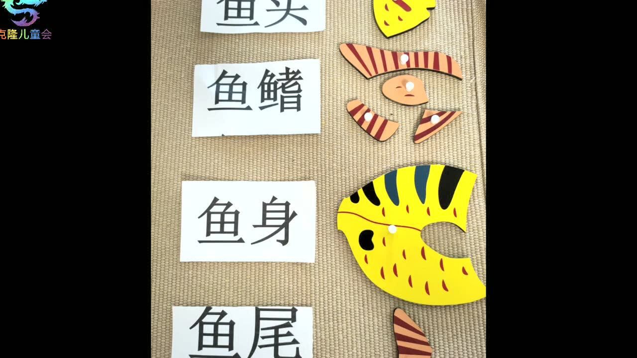 2020326小1班蒙氏1020数与量的对应鱼的嵌板各部分名称