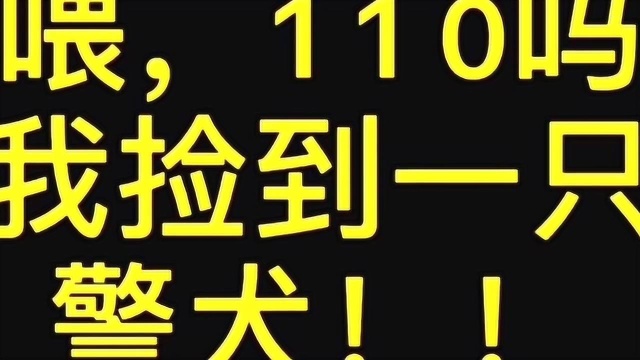 “歪?110吗?我们捡到一只警犬!”警察叔叔到场一看,原来…