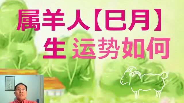 生肖羊,农历巳月生运势