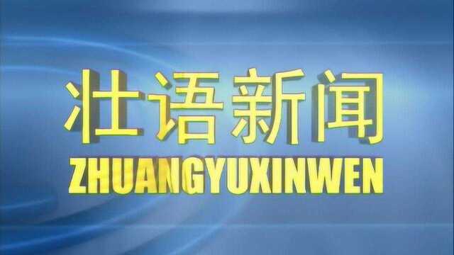 2020年4月1日壮语新闻