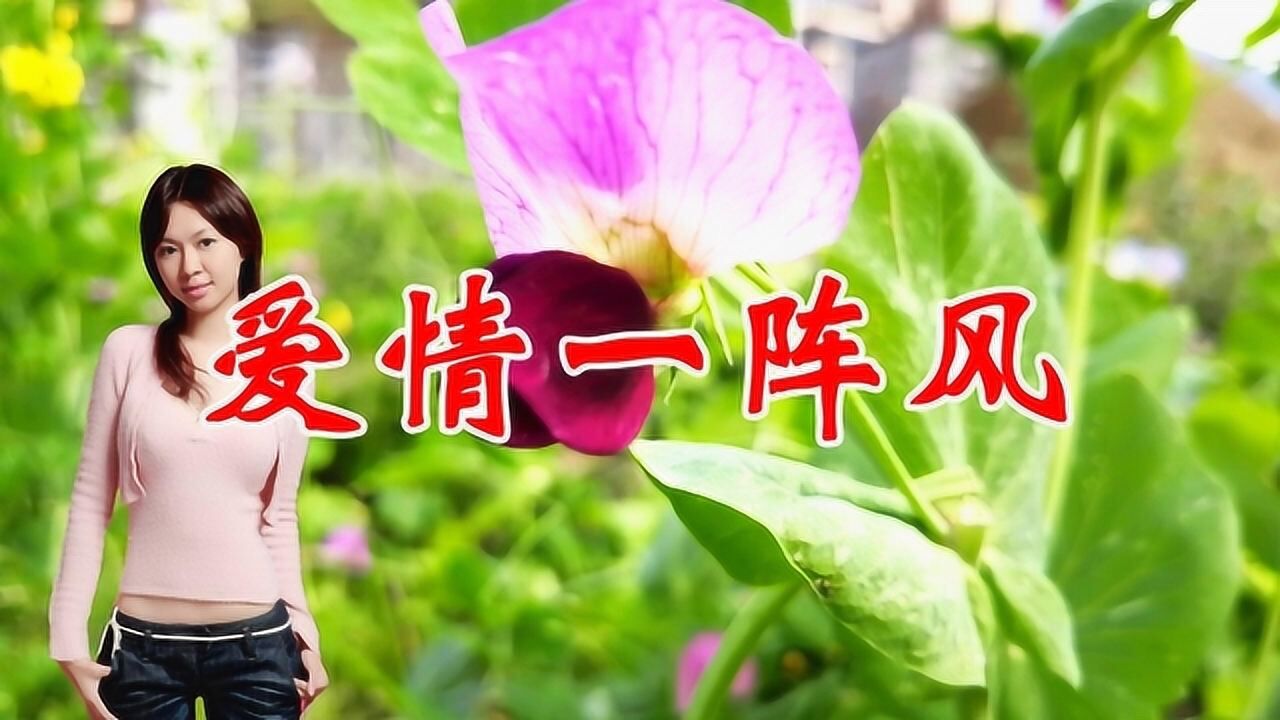 卓依婷一首爱情一阵风经典情歌醉人醉心超级好听