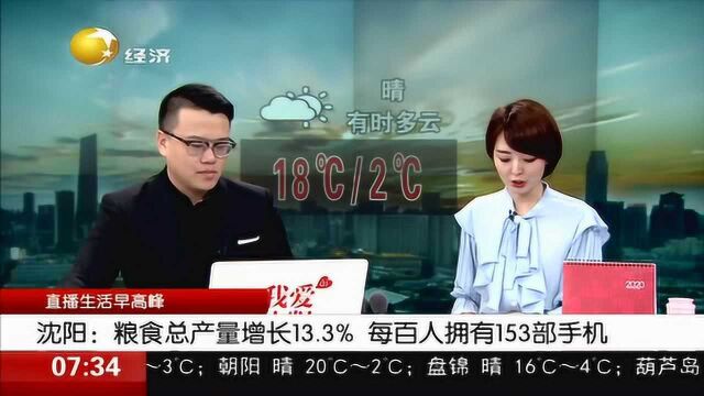 《2019年沈阳市国民经济和社会发展统计公报》发布