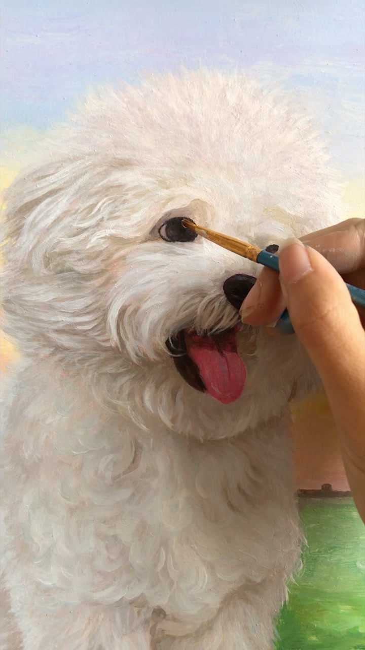 比熊犬圆形油画设计,喜欢就点我哟