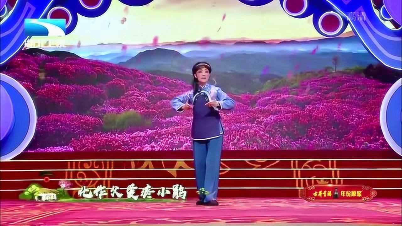 杨俊演唱黄梅戏《党的女儿》:优雅美妙诗情画意