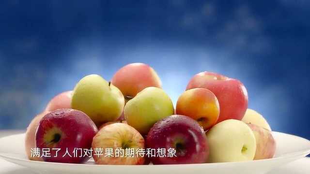 这才是正宗的富士苹果,看着就有食欲