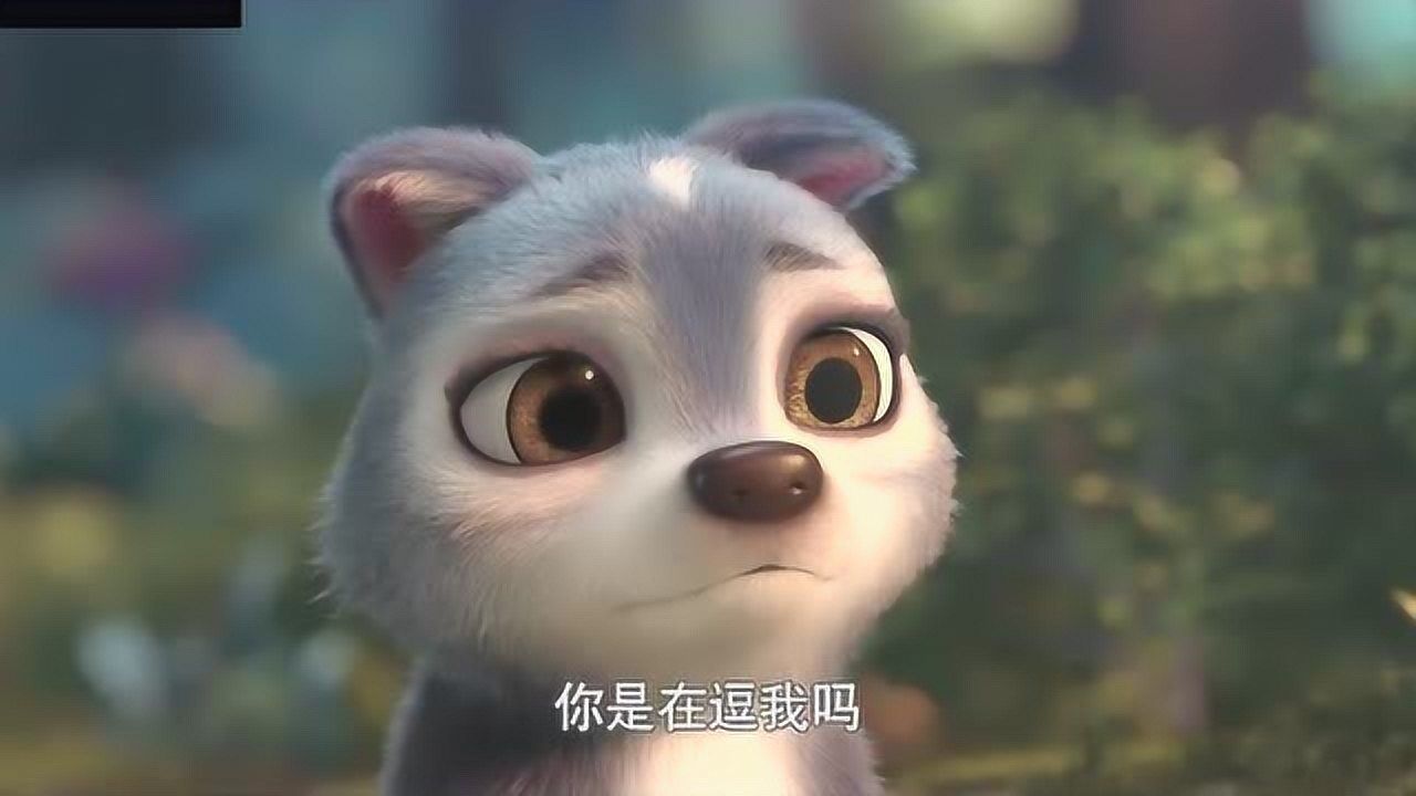 熊出没之原始时代飞飞被其他小狼嘲笑并且逼它吃掉兔子