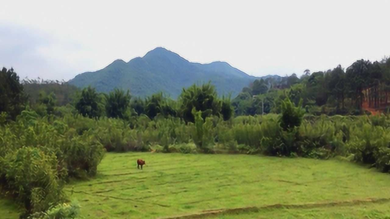 三台天梯同聚养向堂局天然教您认识眠弓案特征