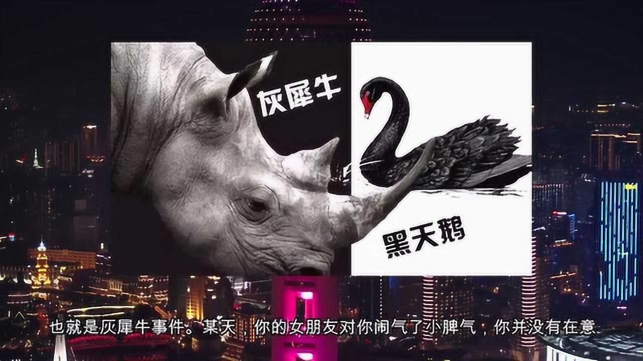 灰犀牛事件黑天鹅的好兄弟灰犀牛