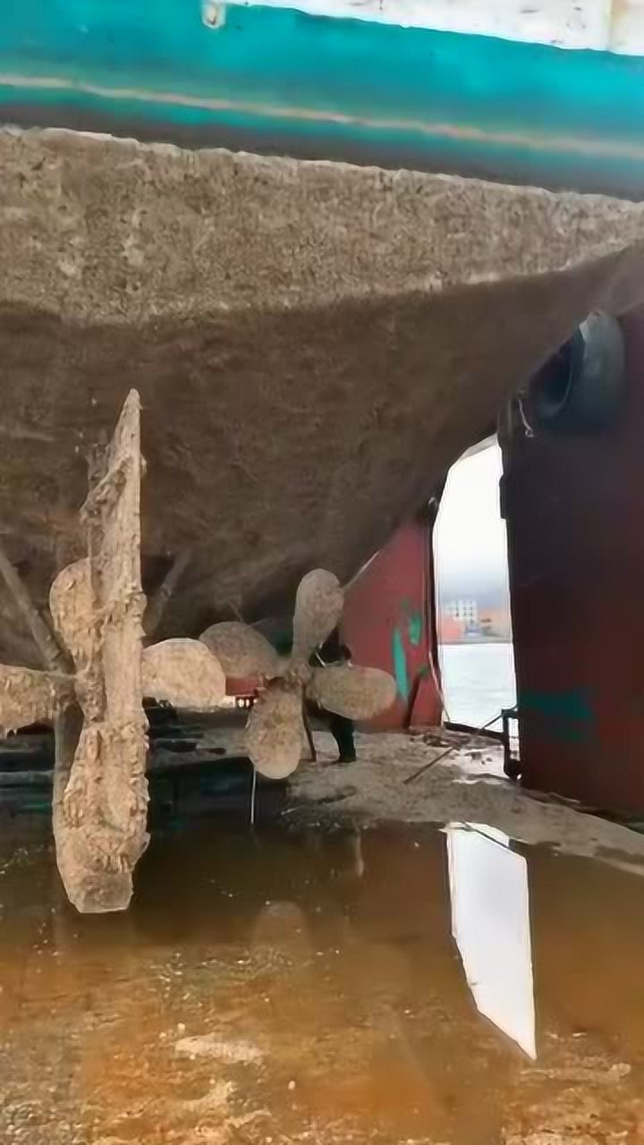 一艘不堪入目的船底部粘满一种物质您可知是什么