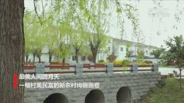 江苏宿城:水墨乡村入画来