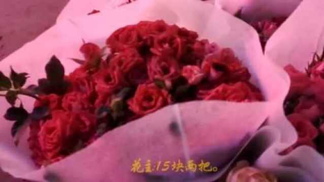 云南斗南—鲜切花交易市场(开市前)杂花、草花、黄莺、勿忘我等等各种花花