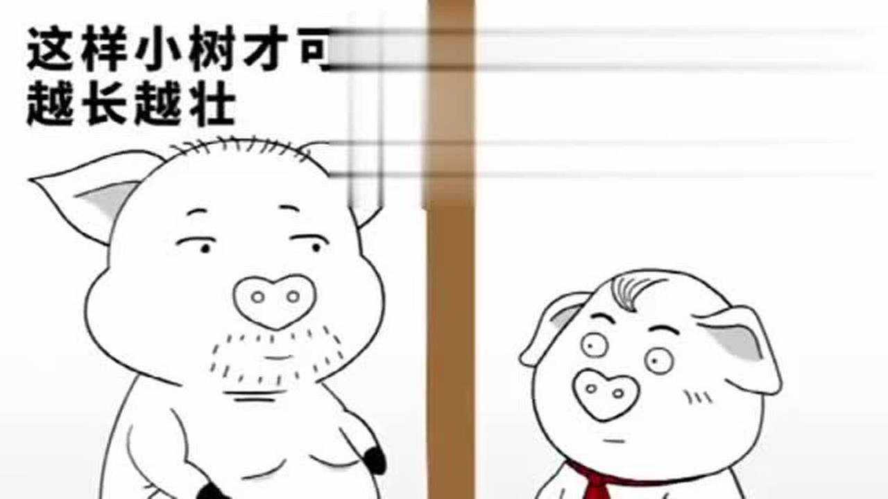 猪屁登屁登连环套路爸爸没起来床尿床超级大美梦