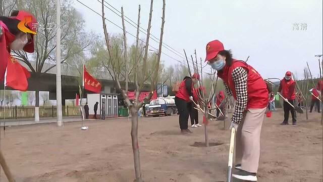 植树添绿正当时——河北各地积极开展全民义务植树活动