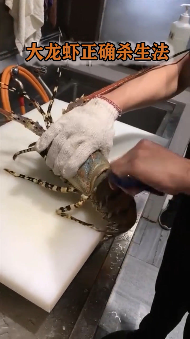 这才是正确的杀大龙虾的方法