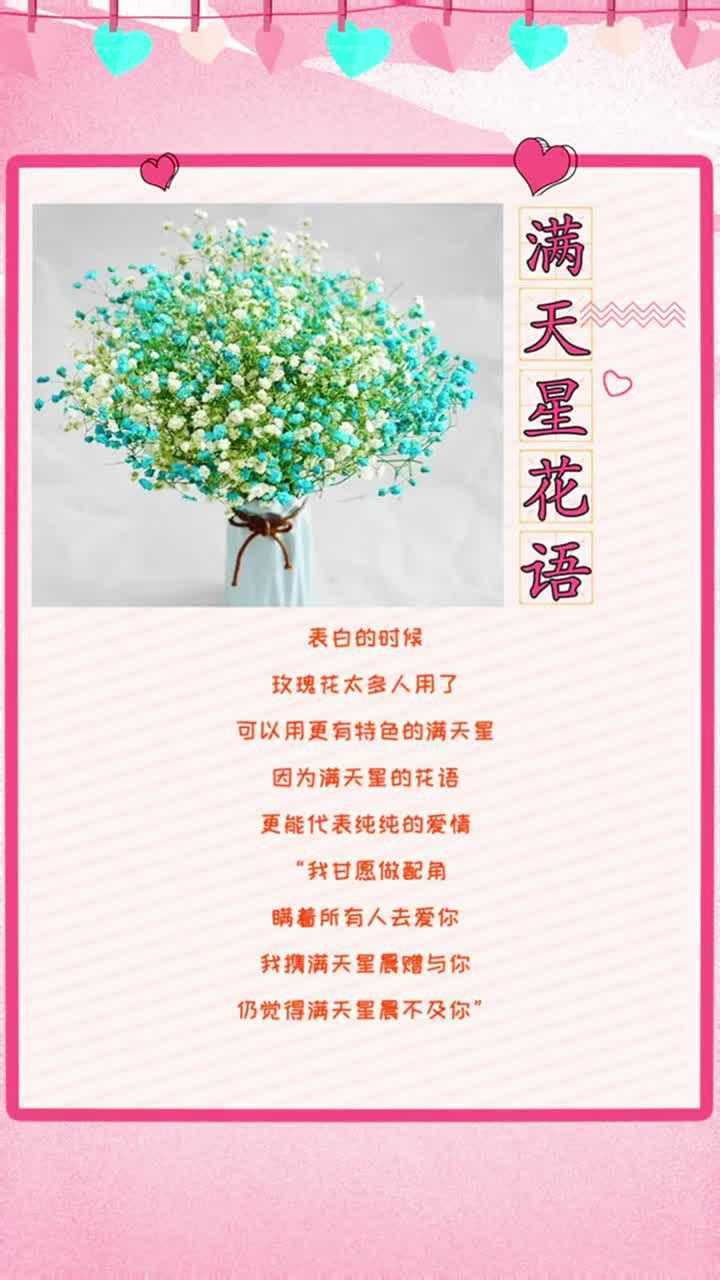 满天星花语语_腾讯视频