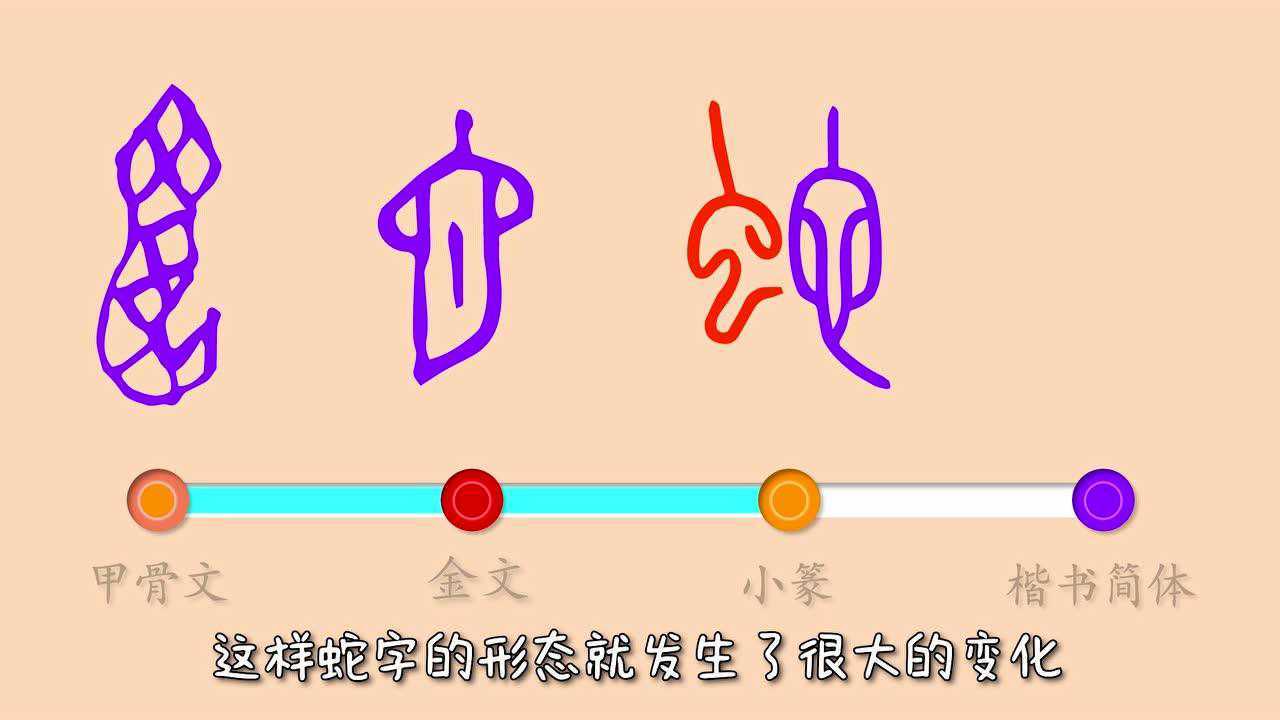 蛇的汉字演变过程图图片