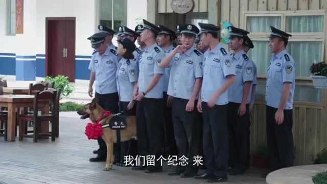 警犬来啦:派出所警员拍合照,只有警犬华哨能戴大红花,太牛了!