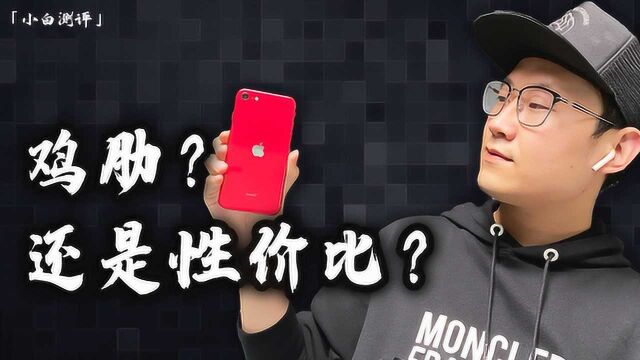 「小白测评」iPhone SE体验测评