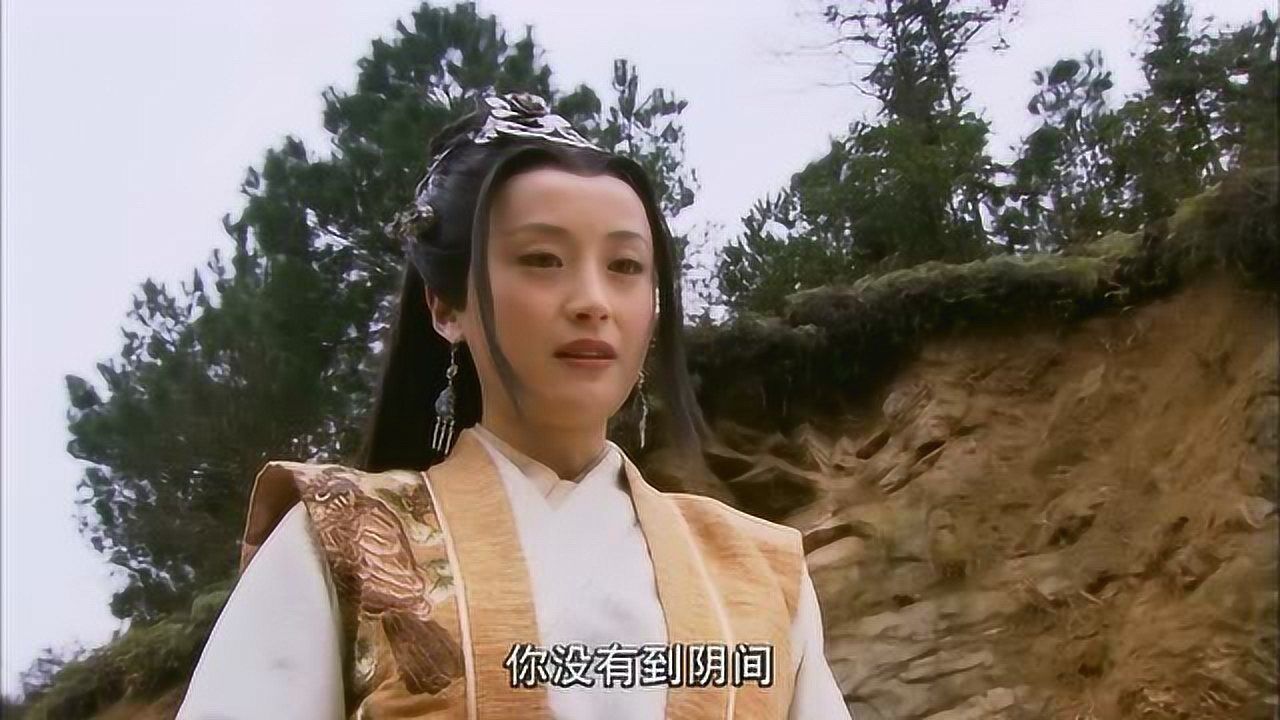 薛丁山薛丁山晕倒半路看到樊梨花送水对方不是死了吗