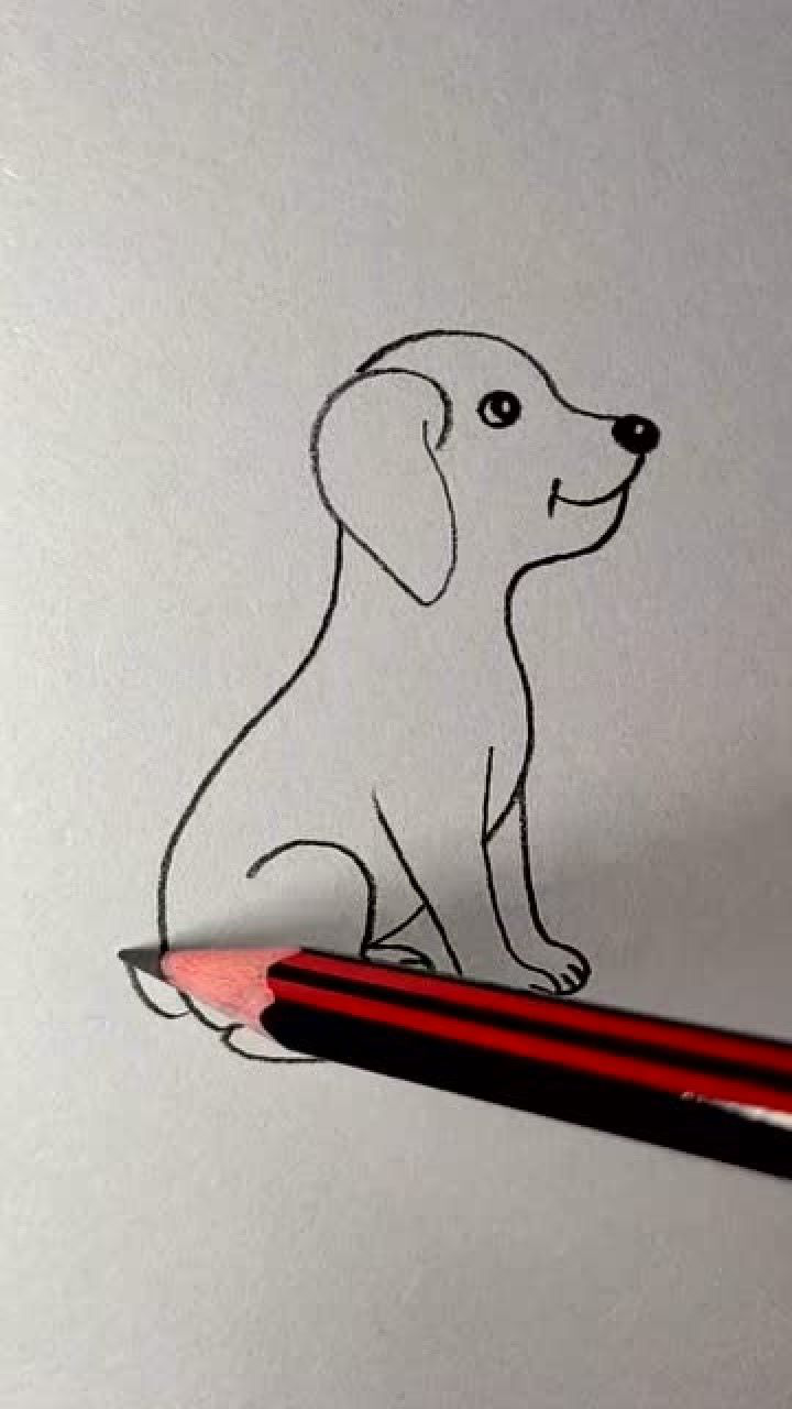画一只很听话的小狗,超简单的画法