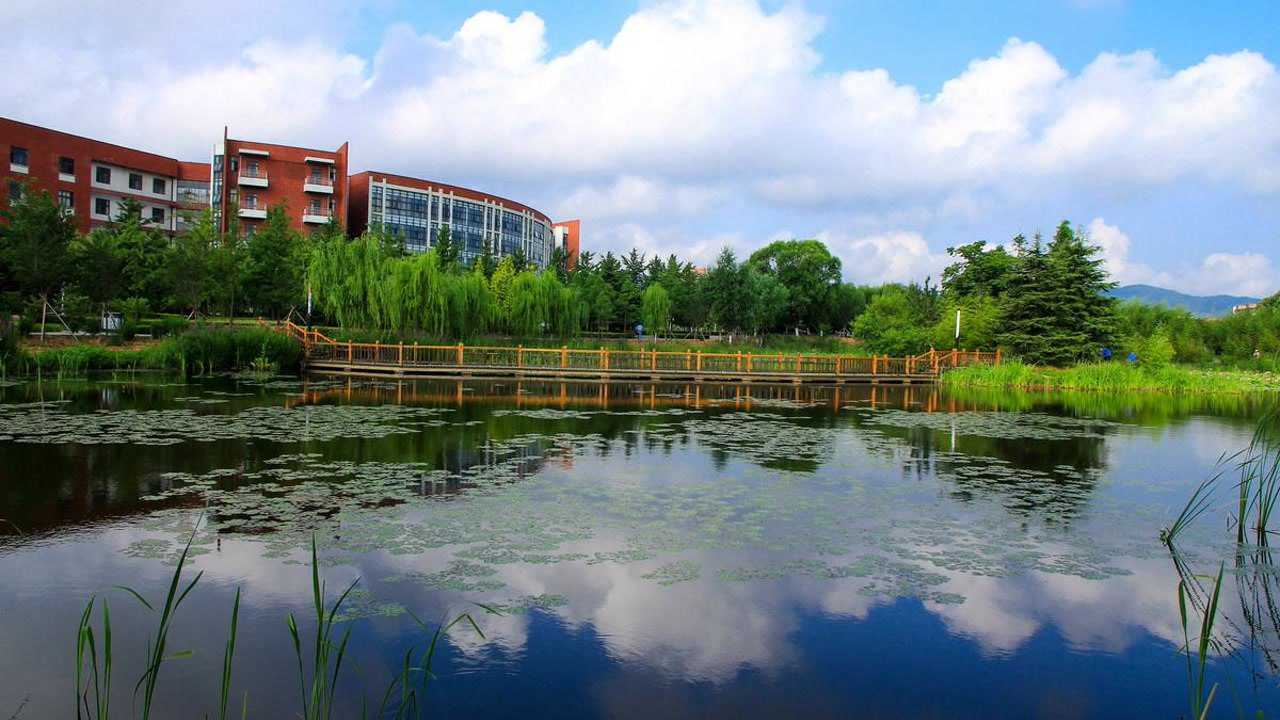 我的刺猬女孩开播打卡金州高级中学带你回到高中时代