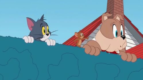 搞笑动漫猫和老鼠方言配音:汤姆和杰瑞有了新发现,时间限制仅有30秒!
