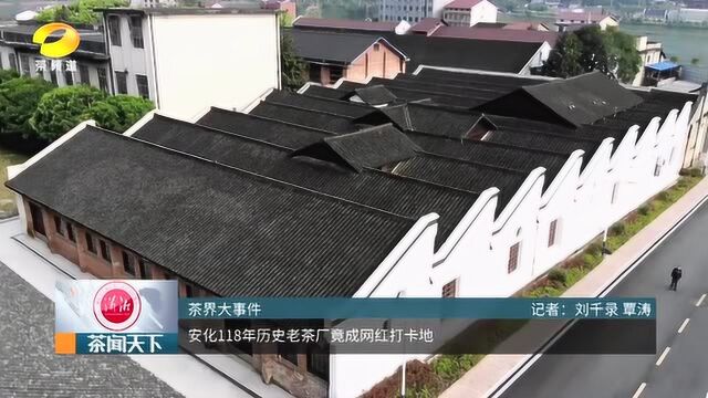 安化118年历史老茶厂竟成网红打卡地茶闻天下