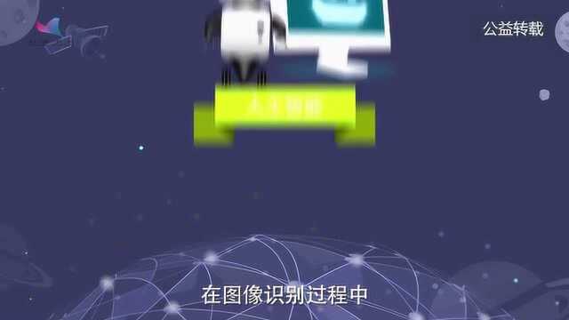 105科普:图像识别技术.公益转载