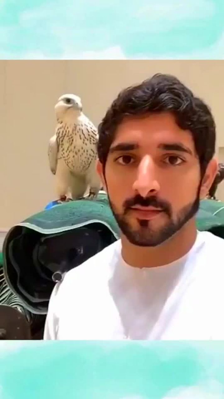 见识一下迪拜哈曼丹王子跟他的百万宠物