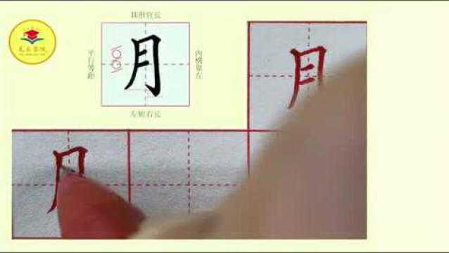 《月》同步生字书写,一年级小学生一定要看看