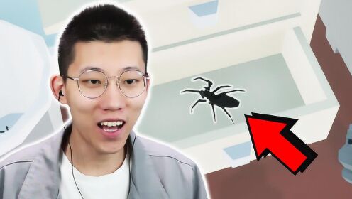 拍蜘蛛模拟器我差点烧了我的家鲤鱼ace解说