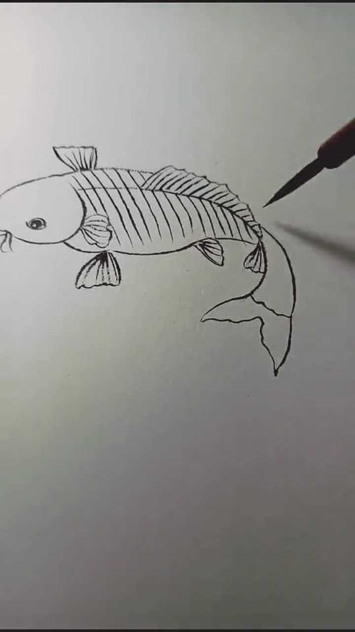 白描魚畫法,超簡單易畫_騰訊視頻