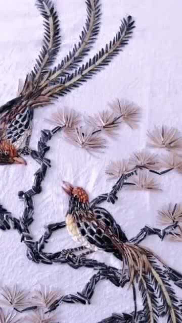 能把瓜子摆成这样子,太牛了,真是高手在民间啊!