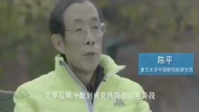 陈平教授讲述自己学习留学研究经历,看当时照片,也是小鲜肉一枚