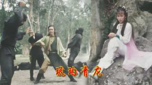 琥珀青龙，赵轩为了救娇妻大战黑衣人，把创意武打发挥到了极致