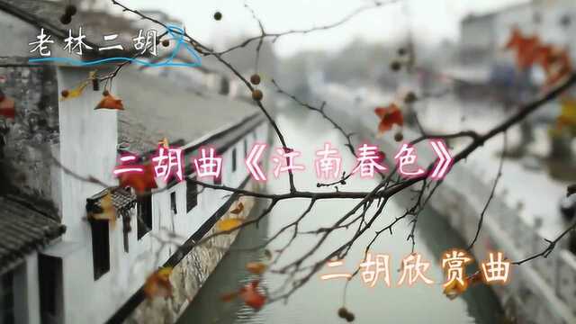 二胡曲《江南春色》,仿佛将人带到江南水乡,静谥而令人陶醉