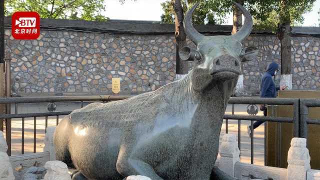 北京夜间遭遇“沙尘雨”洗礼 颐和园铜牛变“梅花鹿”