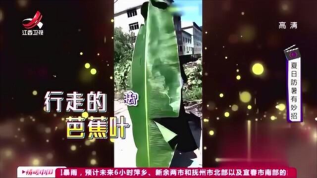 家庭幽默录像:路边惊现行走的“芭蕉叶”?为了防晒她们无所不用