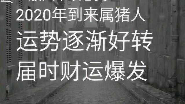 属猪的人在2020会有一难