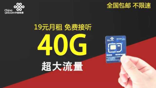 19元月租40G联通大王卡